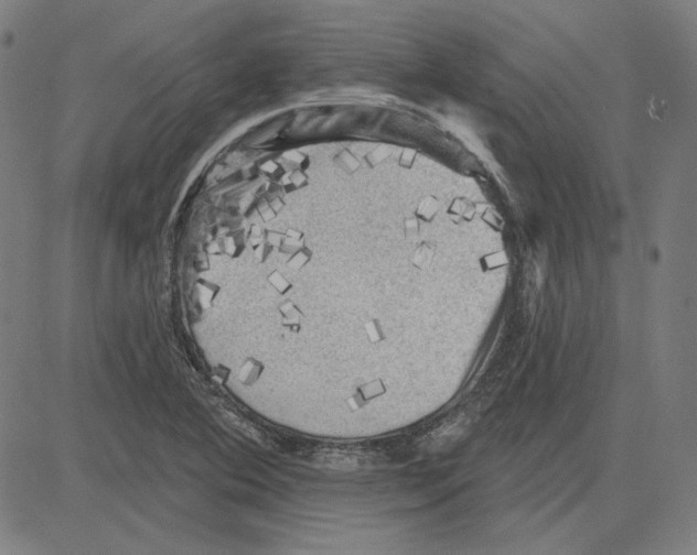 X0000083651364200703121734