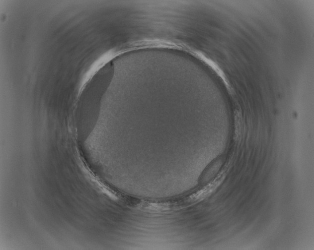 X0000083651365200703121734