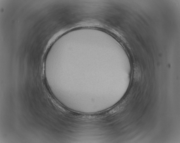 X0000083651366200703121734