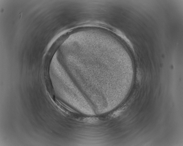 X0000083651368200703121734