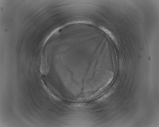 X0000083651369200703121734