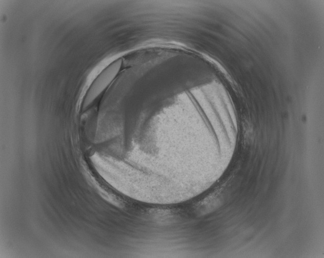 X0000083651371200703121734