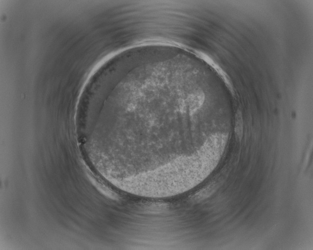 X0000083651372200703121734