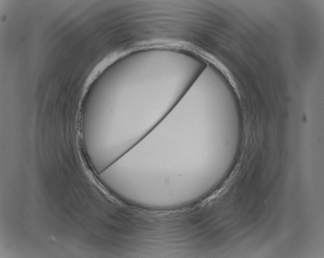 X0000083651373200703121734