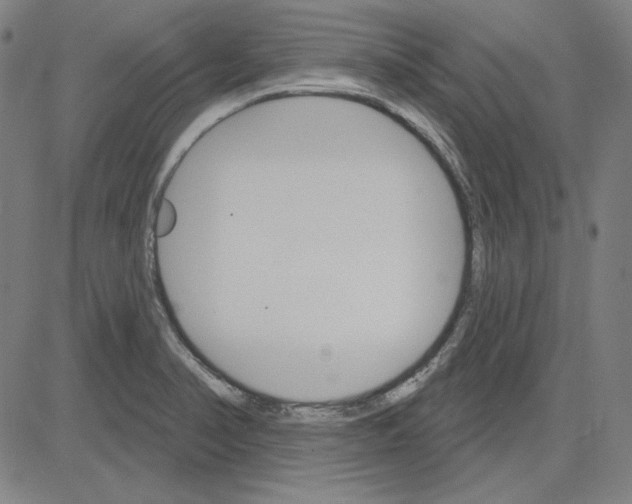 X0000083651374200703121734