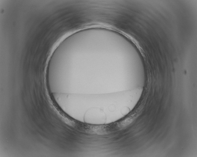 X0000083651375200703121734