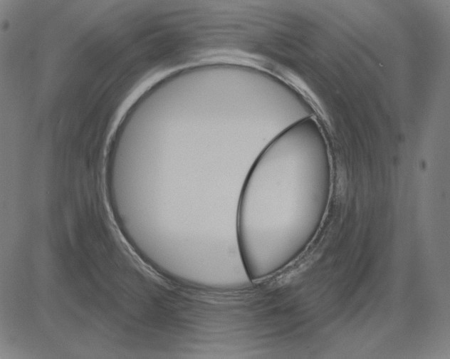 X0000083651376200703121734