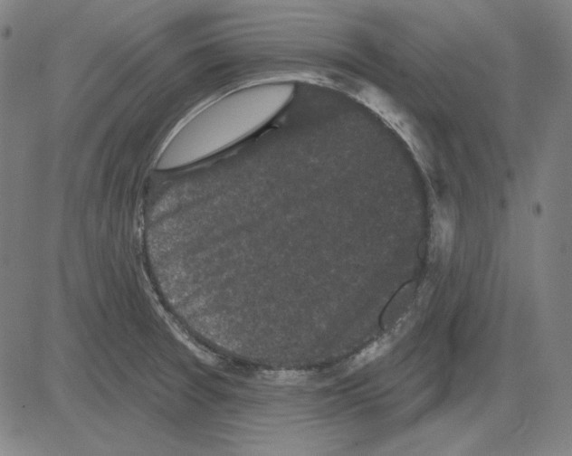 X0000083651377200703121734