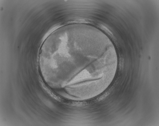 X0000083651378200703121734