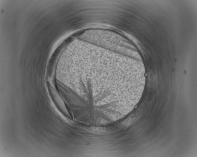 X0000083651379200703121734