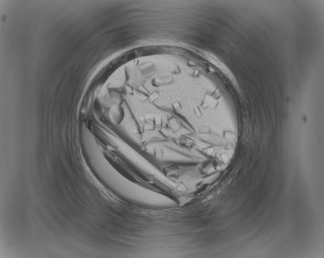 X0000083651380200703121734