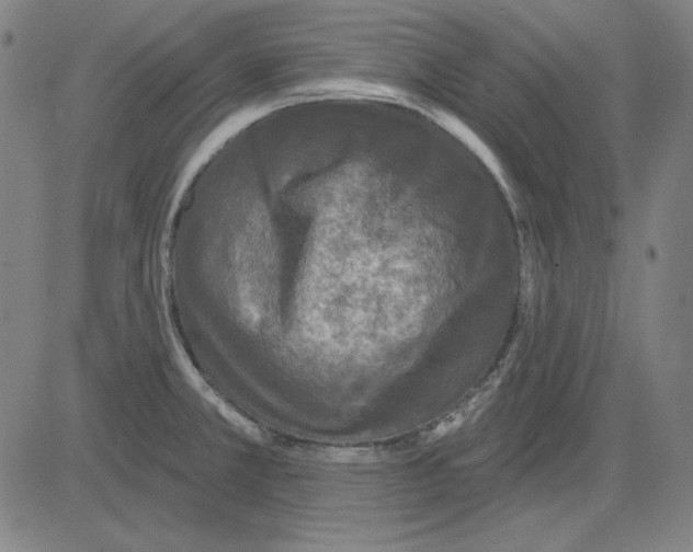 X0000083651381200703121734