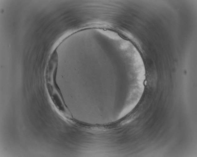 X0000083651383200703121734