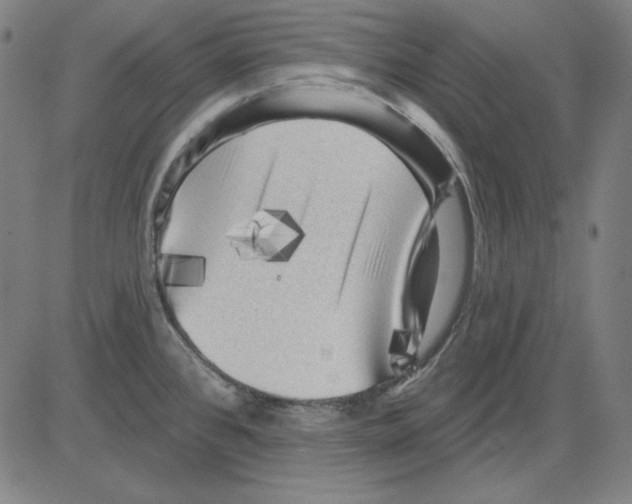 X0000083651384200703121734