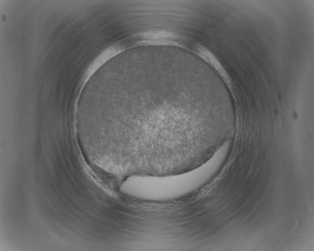 X0000083651386200703121734