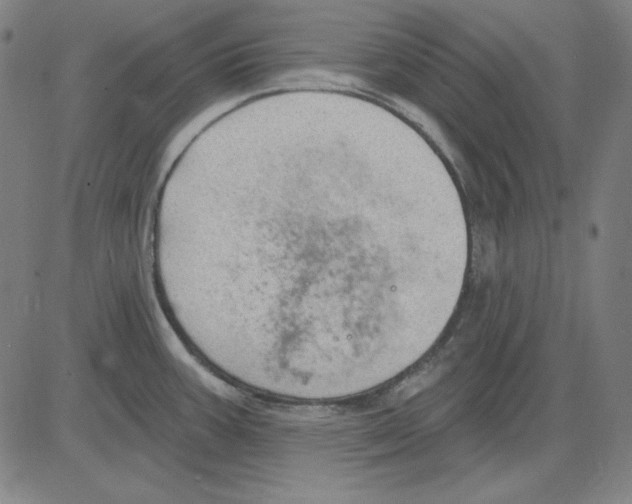 X0000083651387200703121734