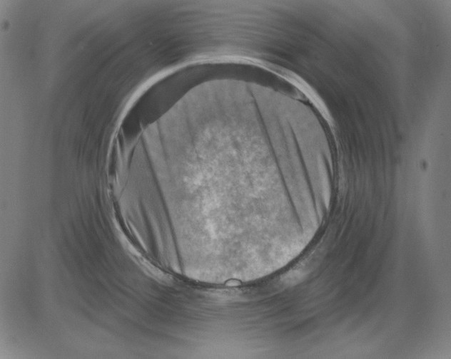 X0000083651388200703121734