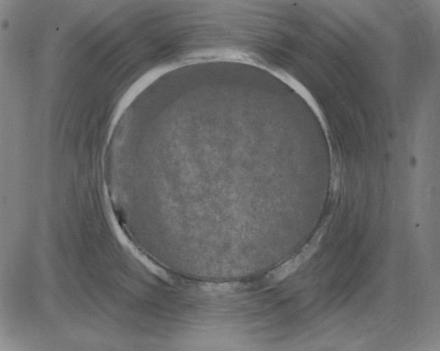 X0000083651389200703121734