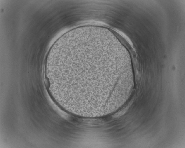 X0000083651391200703121734