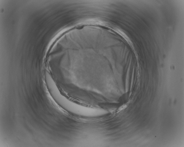 X0000083651392200703121734