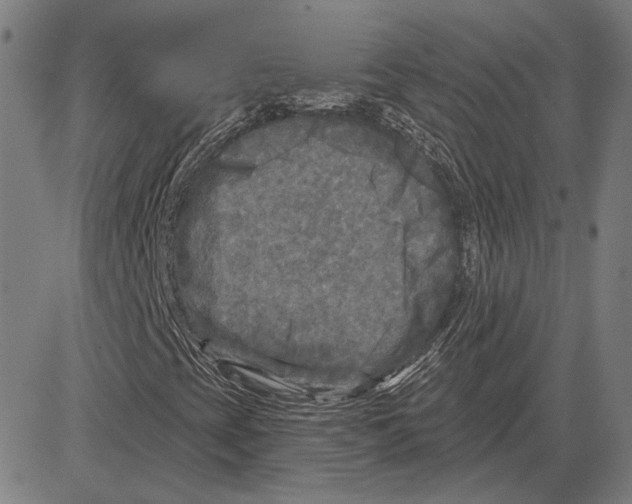 X0000083651393200703121733