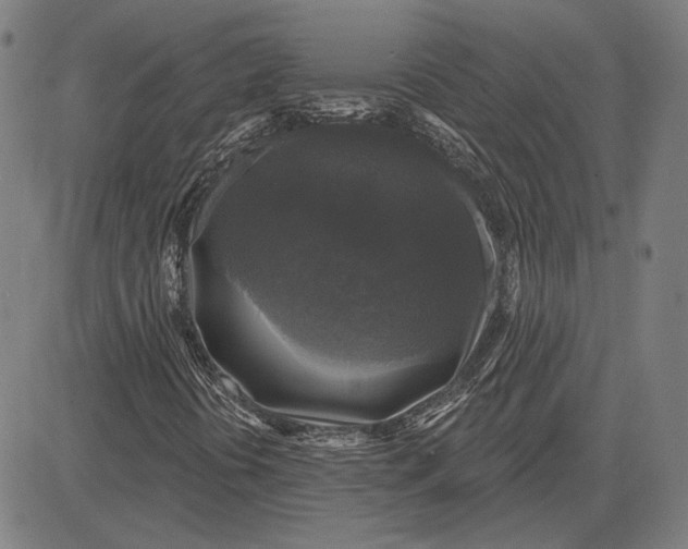 X0000083651394200703121733