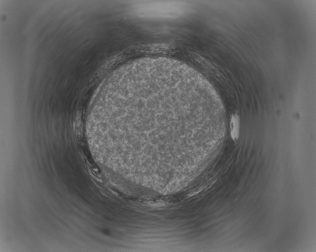 X0000083651395200703121733