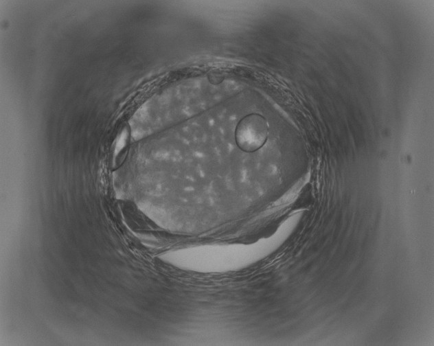 X0000083651397200703121733