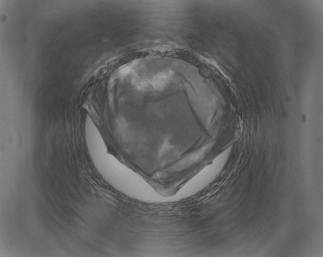 X0000083651399200703121733