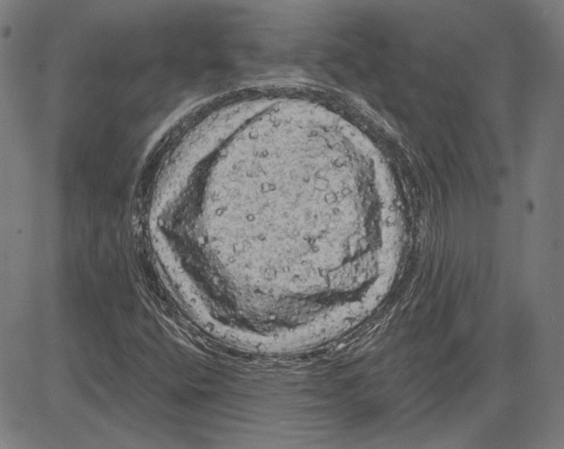 X0000083651400200703121733