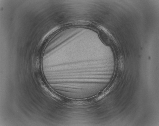 X0000083651402200703121733