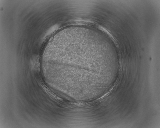 X0000083651403200703121733