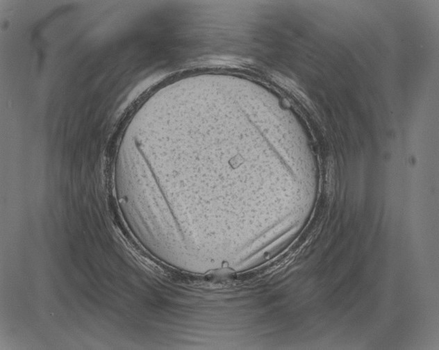 X0000083651404200703121733