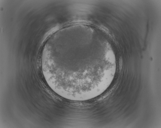 X0000083651405200703121733