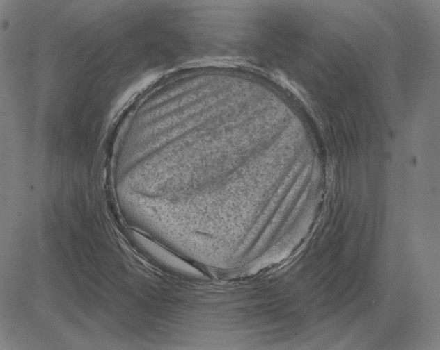 X0000083651406200703121733