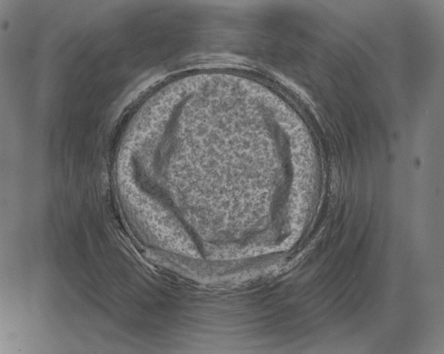 X0000083651407200703121733