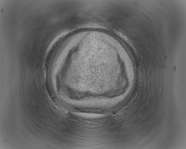 X0000083651408200703121733