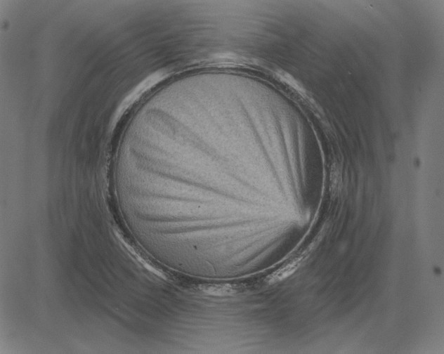 X0000083651410200703121733