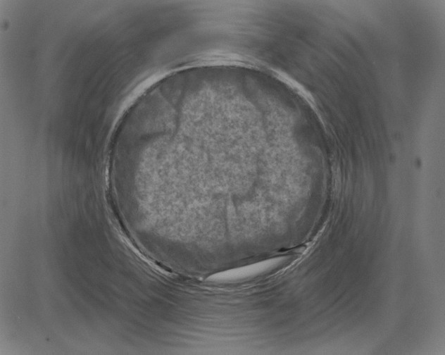 X0000083651415200703121733