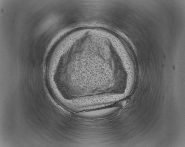 X0000083651416200703121733