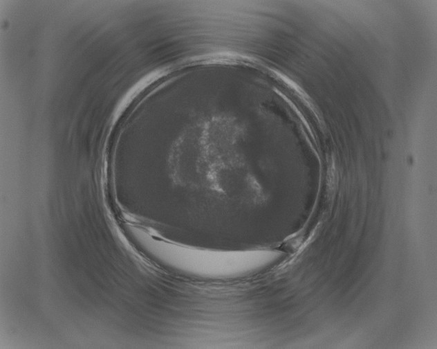 X0000083651418200703121734