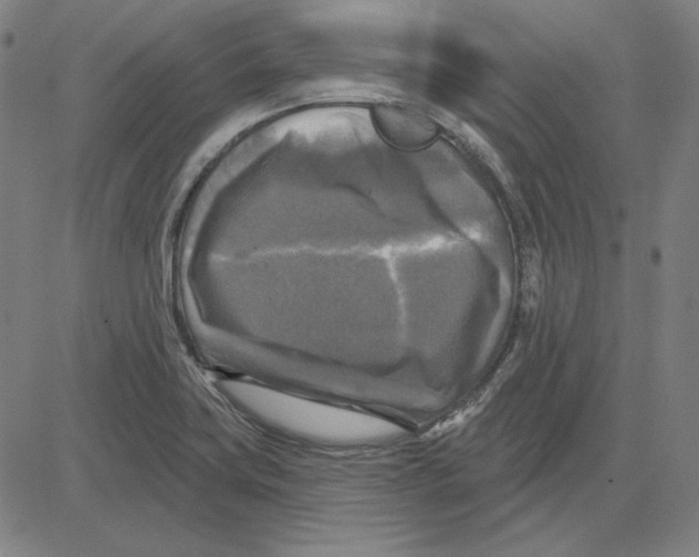 X0000083651419200703121734