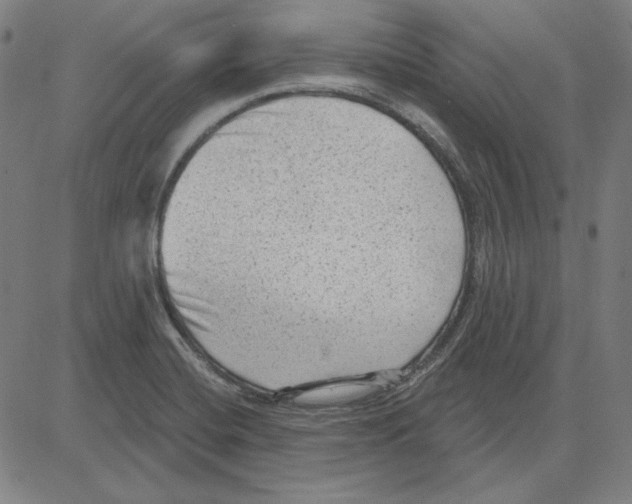 X0000083651420200703121734