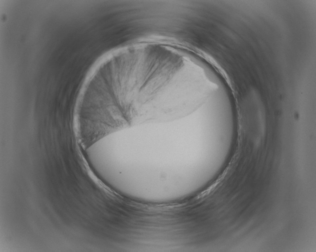 X0000083651421200703121734