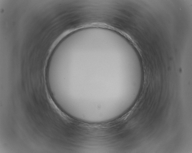 X0000083651422200703121734