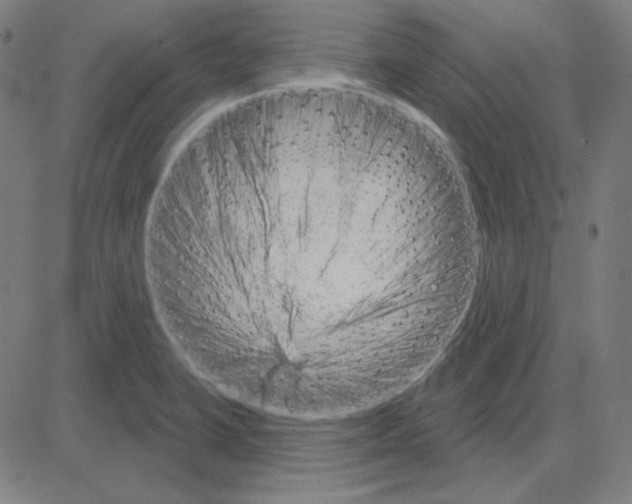 X0000083651423200703121734