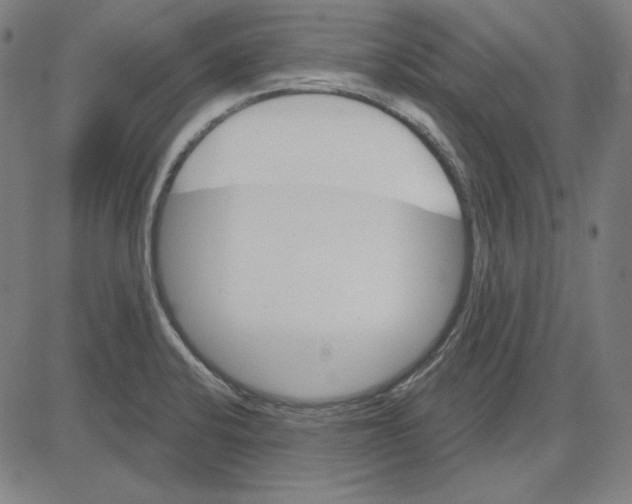 X0000083651424200703121734