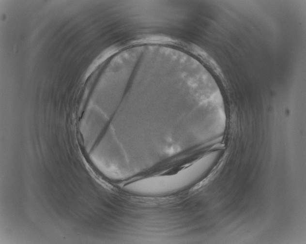 X0000083651425200703121734