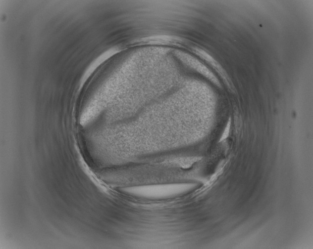 X0000083651426200703121734