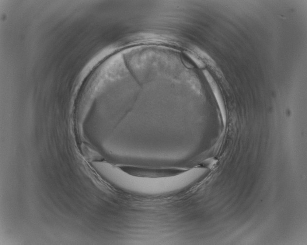 X0000083651427200703121734